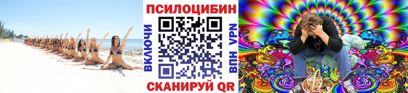 Псилоцибиновые грибы Psilocybine cubensis  Сегежа 