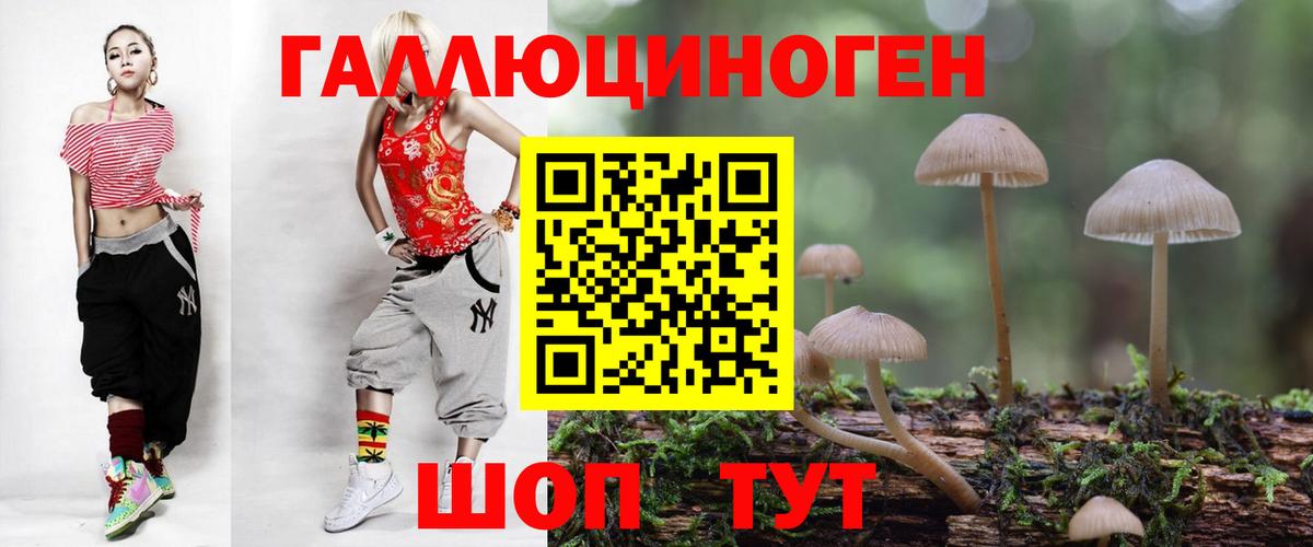 Сегежа  Псилоцибиновые грибы мухоморы  Вход с VPN 